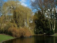 NL, Noord-Brabant, Tilburg, Wilhelminapark 4, Saxifraga-Jan van der Straaten